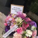 로젠코지 이미지