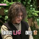 카페타로연 네이버블로그