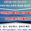 슈바이쯔 네이버블로그