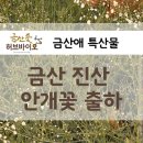 진산화훼 네이버블로그