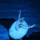 국립발레단 ’백조의 호수’ 이미지