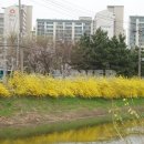 학마을한진아파트 이미지