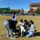 한울학교 이미지