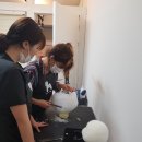 하이펫살롱 이미지