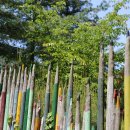 단양팔경(부산)휴게소 편의점 이미지