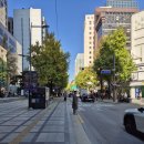 광화문국제 행정사사무소 이미지