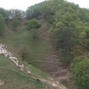 영동목장 이미지