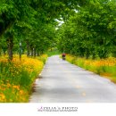 명월공원 이미지