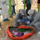 김용 농장 이미지