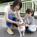 올어바웃도그 이미지