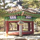 정자 Daum카페