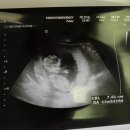 판교연세산부인과의원