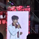 곡성장미축제 곡성세계장미축제 꽃구경 장미사진