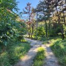 월포해수욕장 이미지