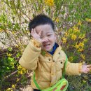 마리나상회