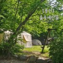 숲속의안뜰 네이버블로그