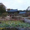 양양낙산사 의상대와 홍련암 이미지