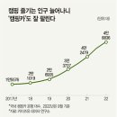 카 플렉스 이미지