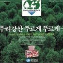 그린마케팅 네이버블로그