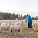 한림목장 이미지