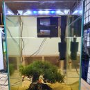 코보아쿠아 이미지