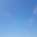 솔향기그린펜션 | 《태안여행》행담도휴게소,솔향기그린펜션,몽산포해수욕장 갯벌체험🤩