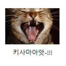 오타쿠