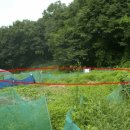 분당-236 이미지