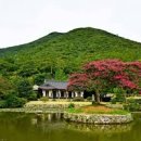 진도 운림산방 이미지