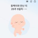 옷그림미싱공방 | [임신기록] 25~28주, 임당 재검 당첨, 그리고 태교 미싱에 심취해버린 나