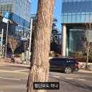 허니데이 엑스포츠뉴스