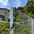 스테이 댕댕 이미지