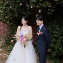 커머셜하우스 | 대구ㆍ부산 웨딩촬영 추천 / 커스텀스튜디오 / 루브하우스 후기 / 대구웨딩플래너