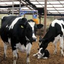 온새미로목장 이미지