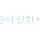 베네치아안경원 이미지