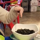이야~ 세상 알차게 놀았다~ (24년 4월)