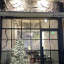 간판없는식당 | 정자동 소개팅 성공률100% 양식 맛집 간판 없는 식당 돈우피치 후기🍝