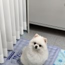 커믈리 네일엔뷰티 이미지