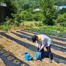 6.15 농장 이미지