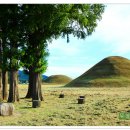 황남초등학교 이미지