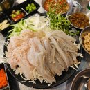 홍초장집 | 오목교역 막회집 홍초장집 목동 직영점 제철 막회 후기
