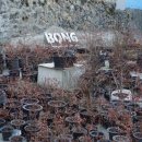 봉산농장 이미지