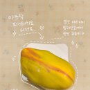 미라이키 | 일산 밤리단길 디저트 맛집 미라이키 후기｜아그작피스타치오 먹어본 솔직 후기 장난감 왁뿌 감성까지