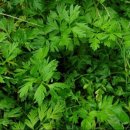 상구농장 이미지