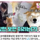 정만농장 네이버블로그