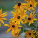 부천시청역 2번출구 이미지