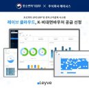 레이시스