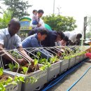 안산시농업기술센터 이미지