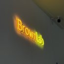 브라운랩 | 송탄 디저트 카페 | 브라운랩, 커스터드 뉴욕롤 우유크림 뉴욕롤 내돈내산