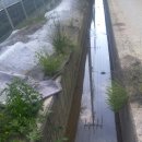 일영낚시터 이미지